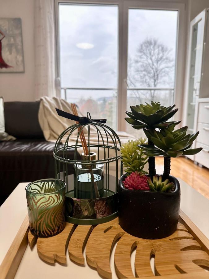 Apartman Floresta - In Front Of Japanese Garden, Enchanting Nature View, Spotless And Cozy Vrnjačka Banja Extérieur photo